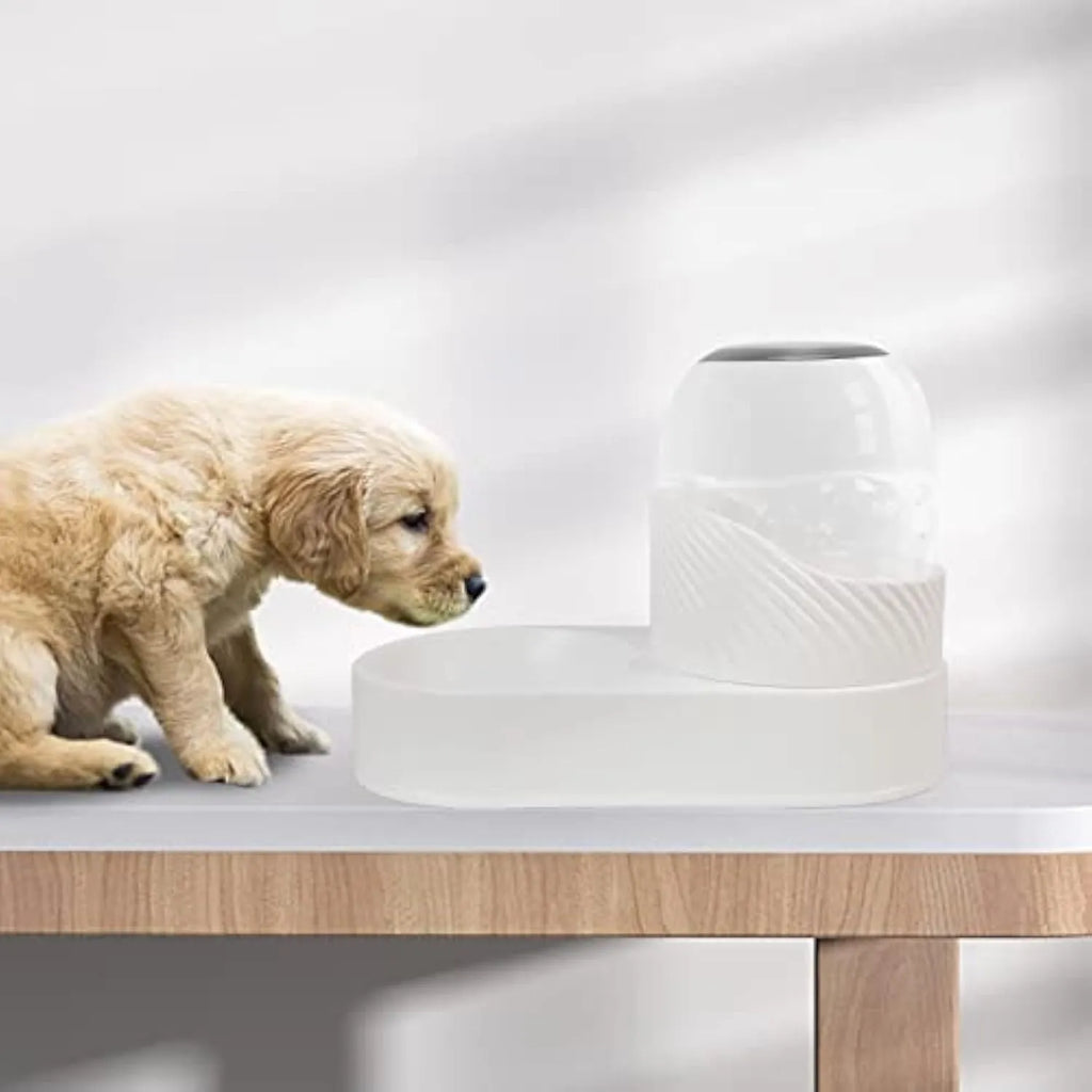 White automatic gravity cat feeder and water dispenser set with wave design.