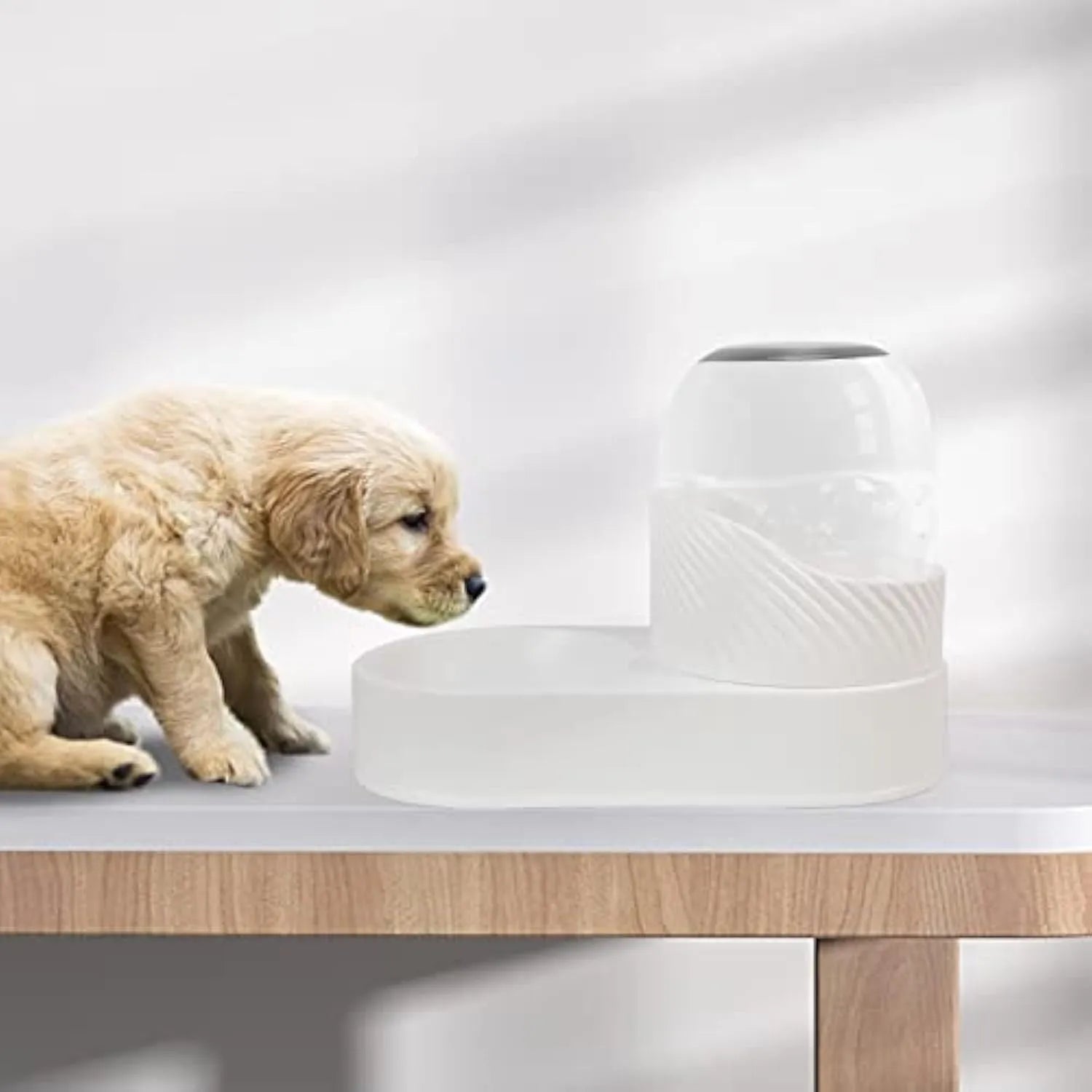 White automatic gravity cat feeder and water dispenser set with wave design.