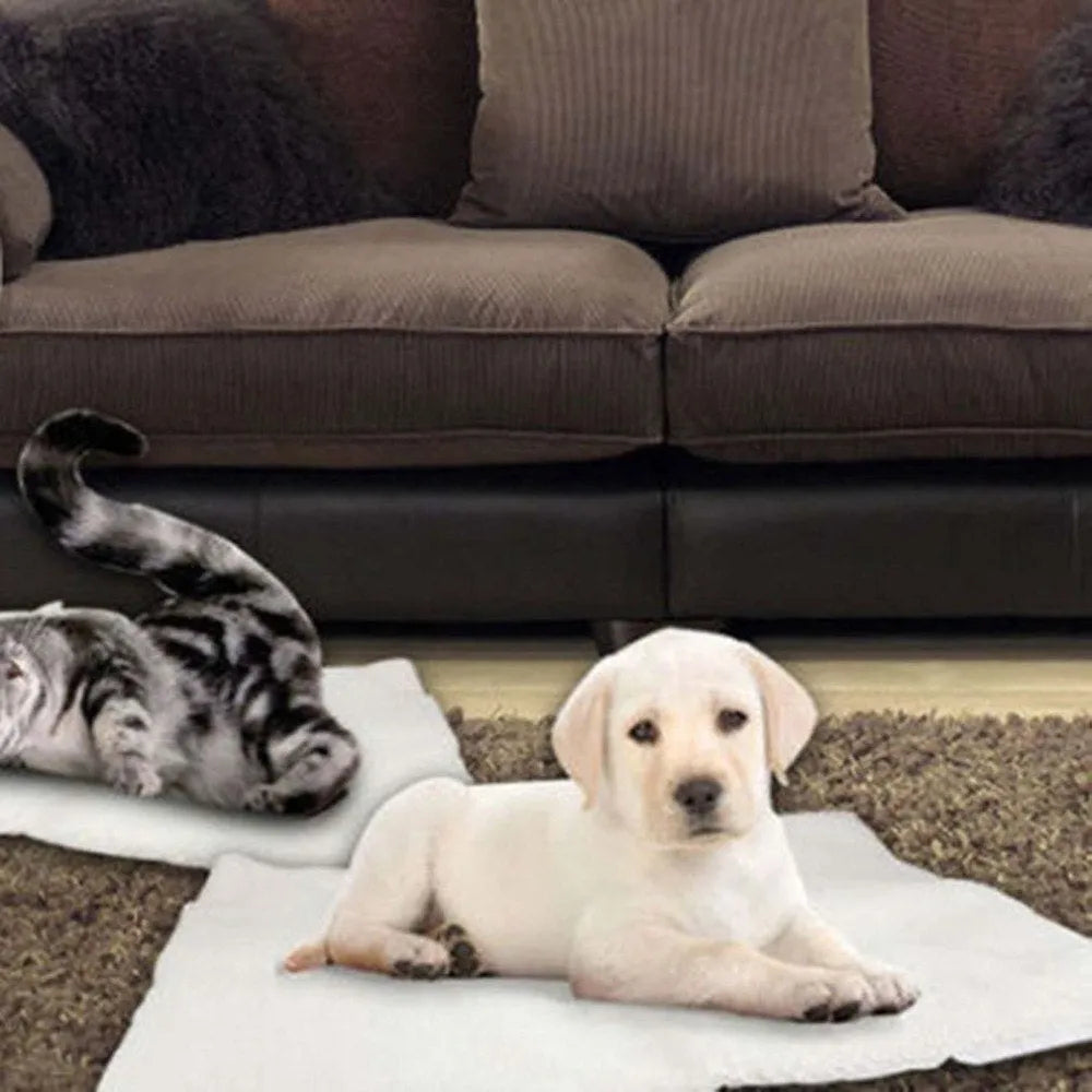 Beige self-heating pet blanket made of faux lambswool with reflective thermal layer, suitable for dogs and cats