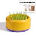 Blue, green, and yellow hydroponic cat grass pots with wheatgrass seed packets