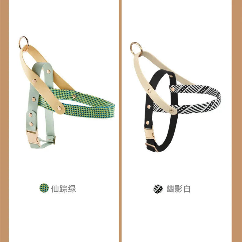 Dog hand holding rope pet harness chain in nylon PVC, Shadow White colour, with chest strap on neutral background