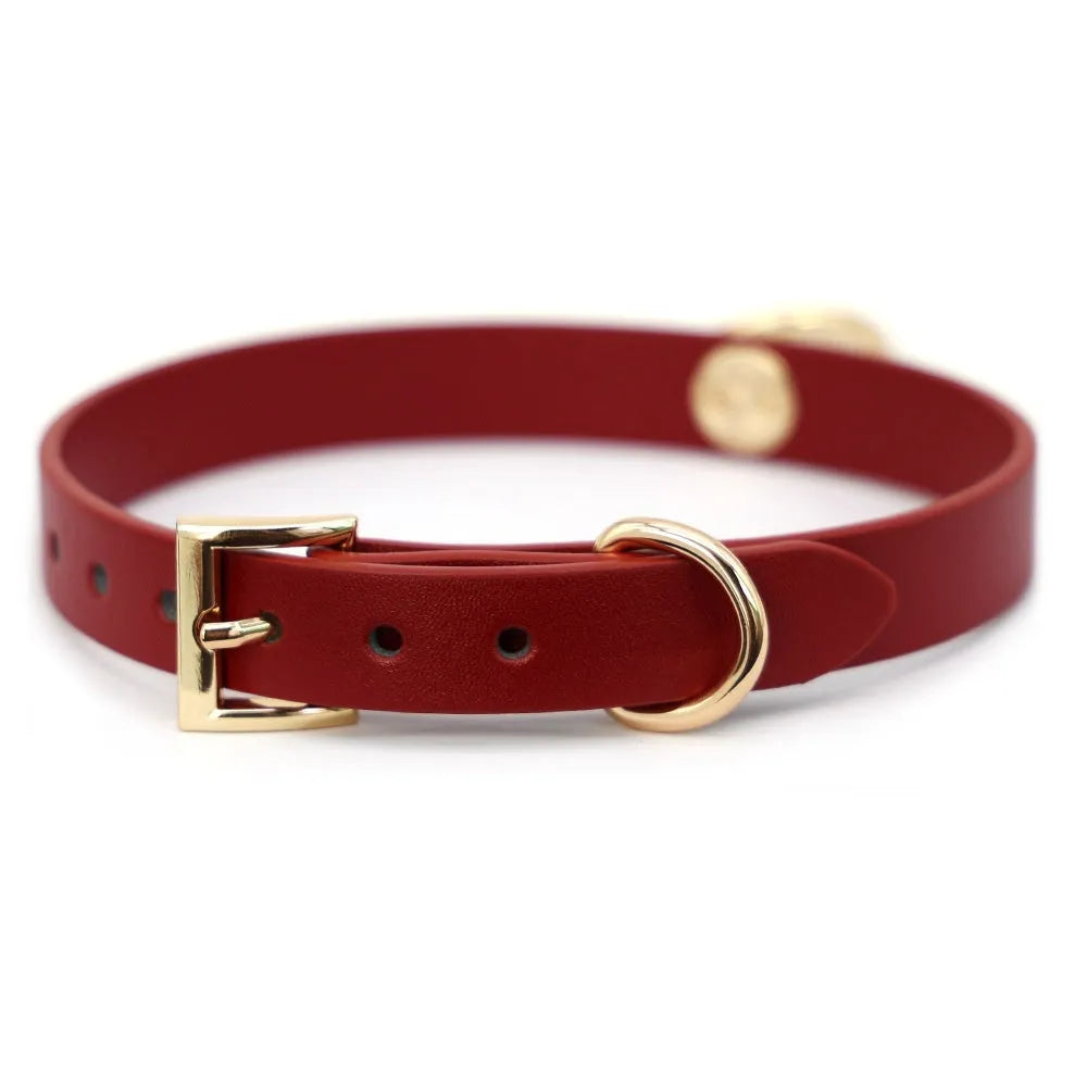 Cowhide leather dog collar and matching pull lead in traditional construction