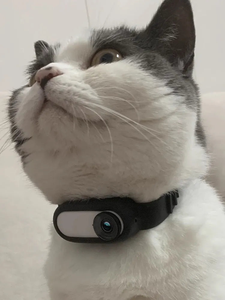 Black silicone collar camera for pets with wireless recording, USB charging, indoor outdoor use