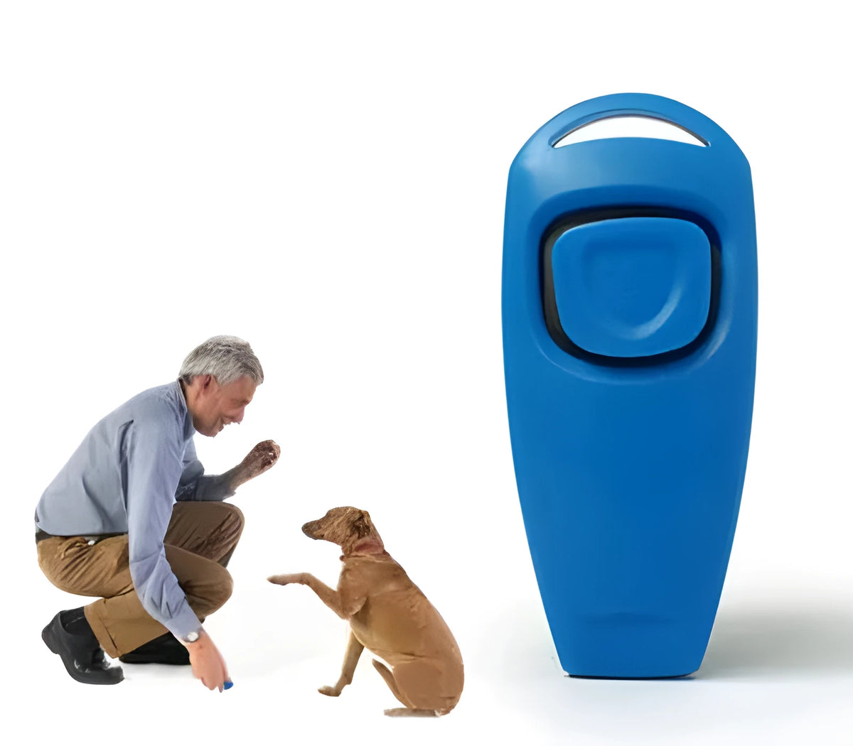Plastic two-in-one dog training whistle ring in black on white background