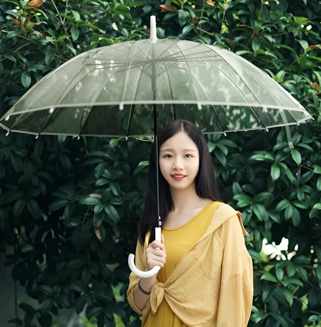 Transparent umbrella with long handle showing 16-rib frame structure