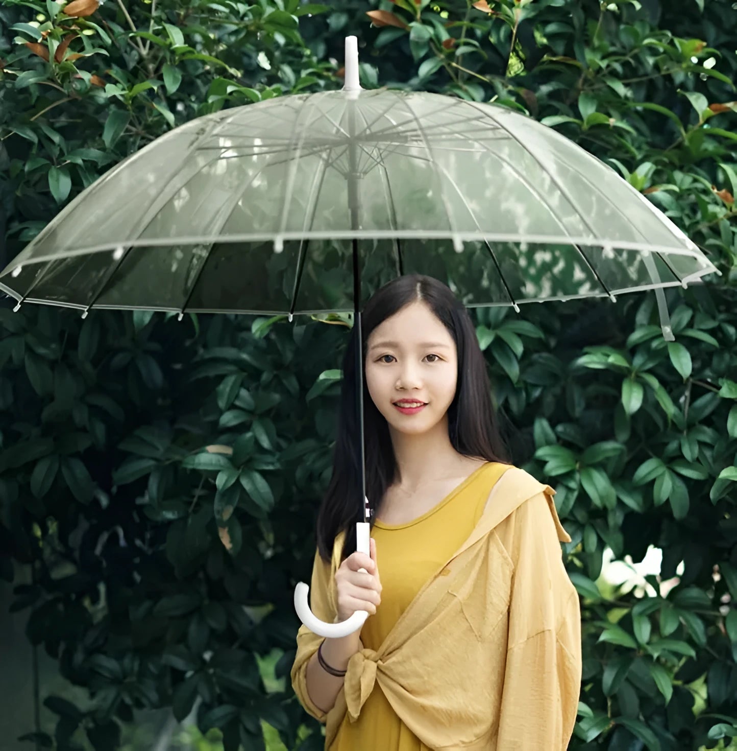 Transparent umbrella with long handle showing 16-rib frame structure