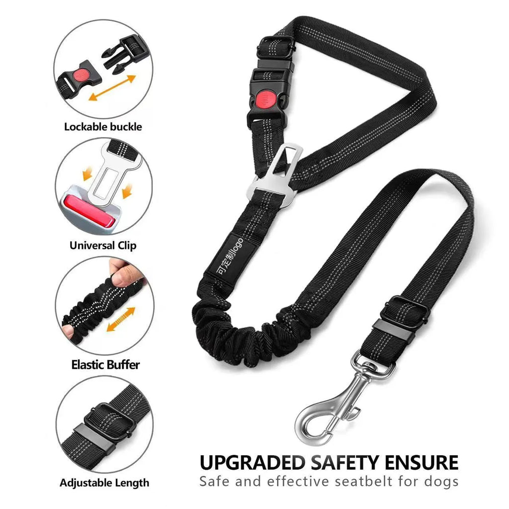 Nylon tow rope dog leash with a metal buckle in various colours