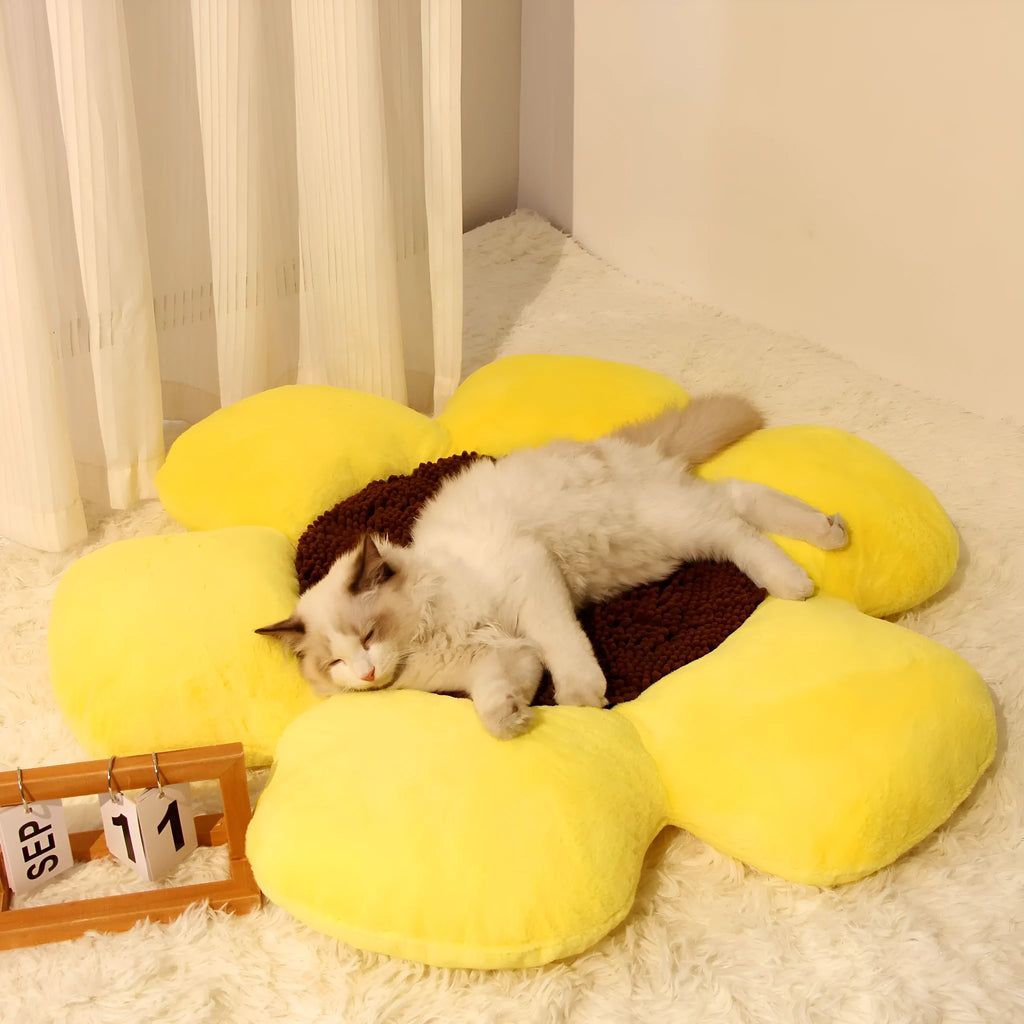 Blue round flower-shaped plush cat bed measuring 85cm across.