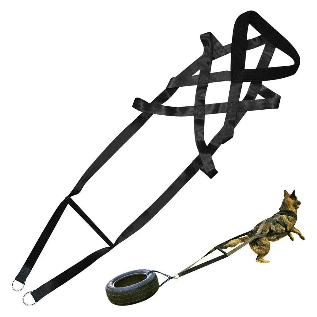 Black cotton dog training lead, 110cm total length, traction belt style for training and walks