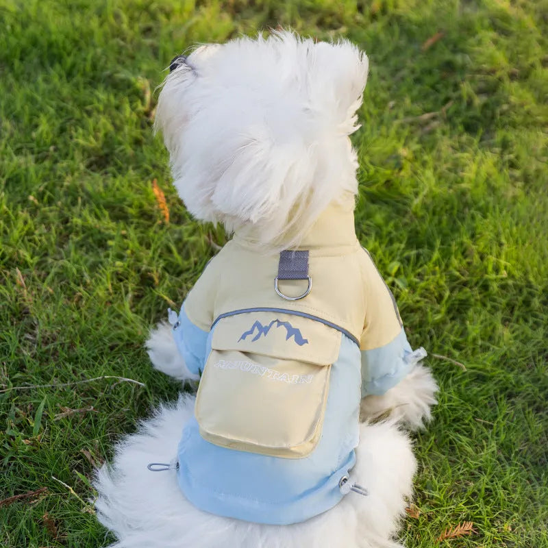 Xidao Di two-legged dog windbreaker coat in sunny yellow-blue colour on a small dog, with adjustable drawstring and D-ring.