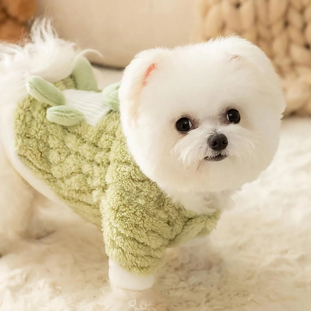Green plush fleece dog hoodie with 3D frog face, white trim, and D-ring on belt for lead attachment.