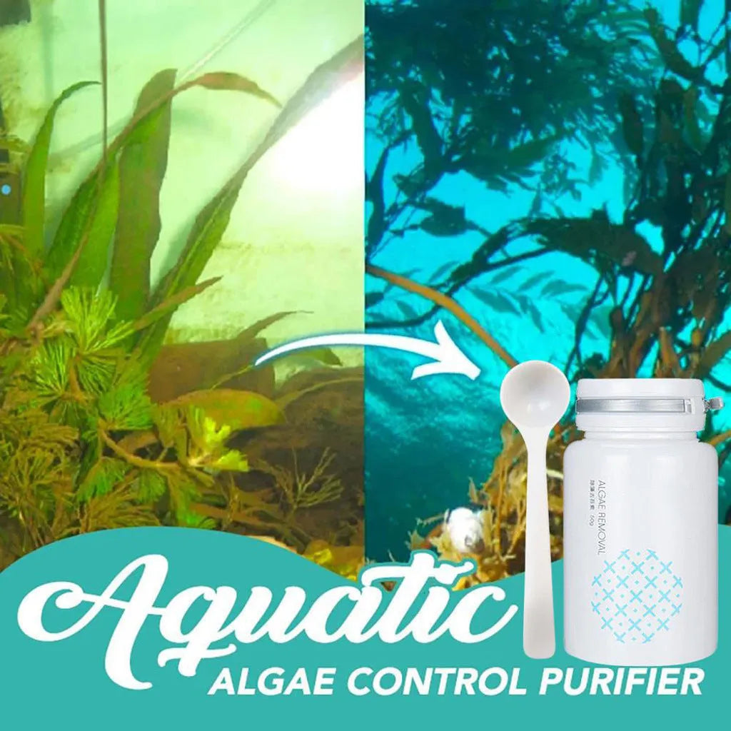 50g swimming pool algaecide treatment for algae removal and water purification