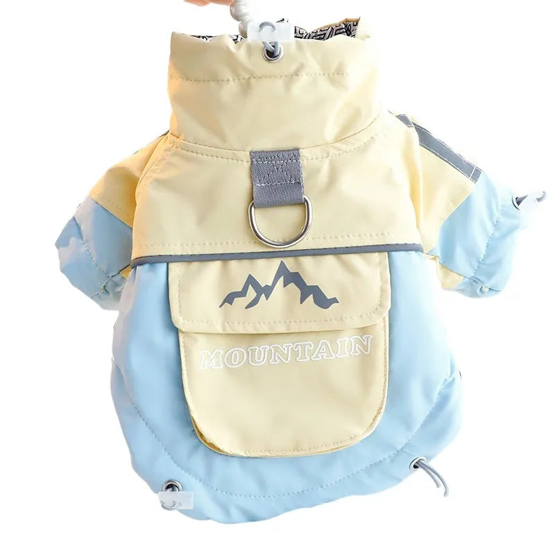Xidao Di two-legged dog windbreaker coat in sunny yellow-blue colour on a small dog, with adjustable drawstring and D-ring.