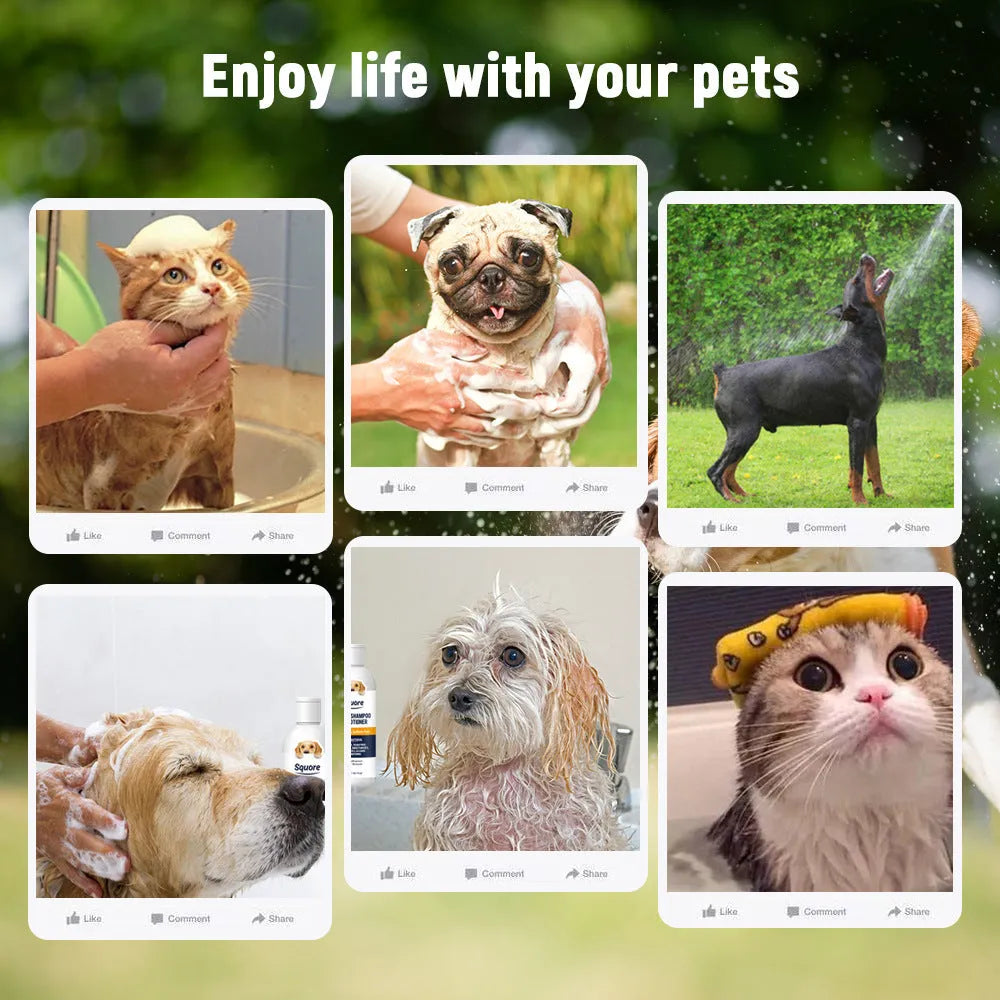 300ml two-in-one pet body wash with anti-mite protection and deodorant fragrance for dog and cat bathing