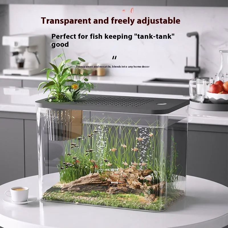 Medium plastic betta fish tank with lid cover in black or white colour options