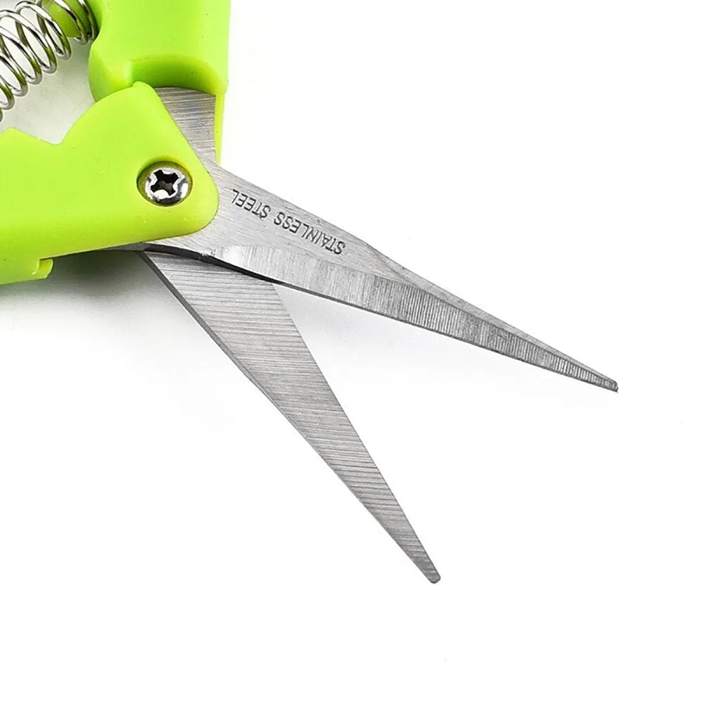 Green garden pruning scissors with stainless steel blade, 16.5 cm long, on a white background