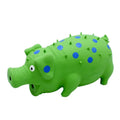 Pig-shaped latex dog chew toy with protuberant grain surface and squeaker, shown in assorted colours