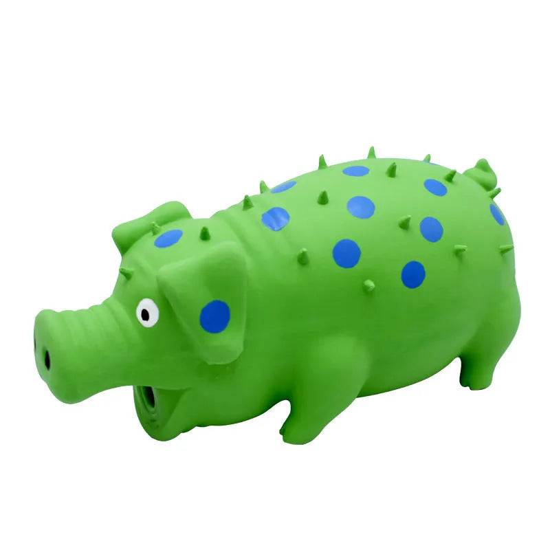 Pig-shaped latex dog chew toy with protuberant grain surface and squeaker, shown in assorted colours