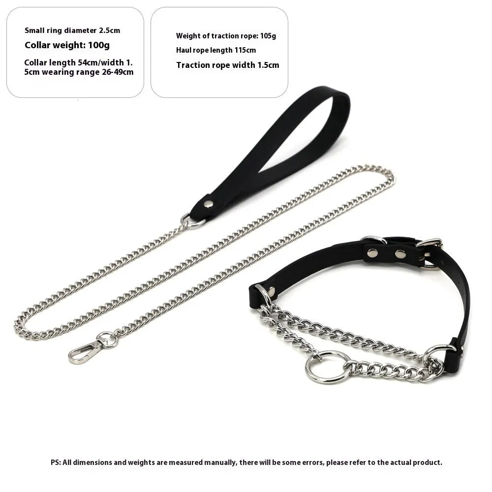 Black leather dog collar and matching leash with a rope hand grip.