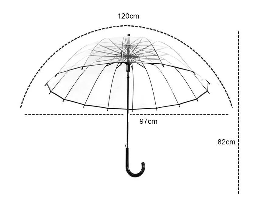 Transparent umbrella with long handle showing 16-rib frame structure