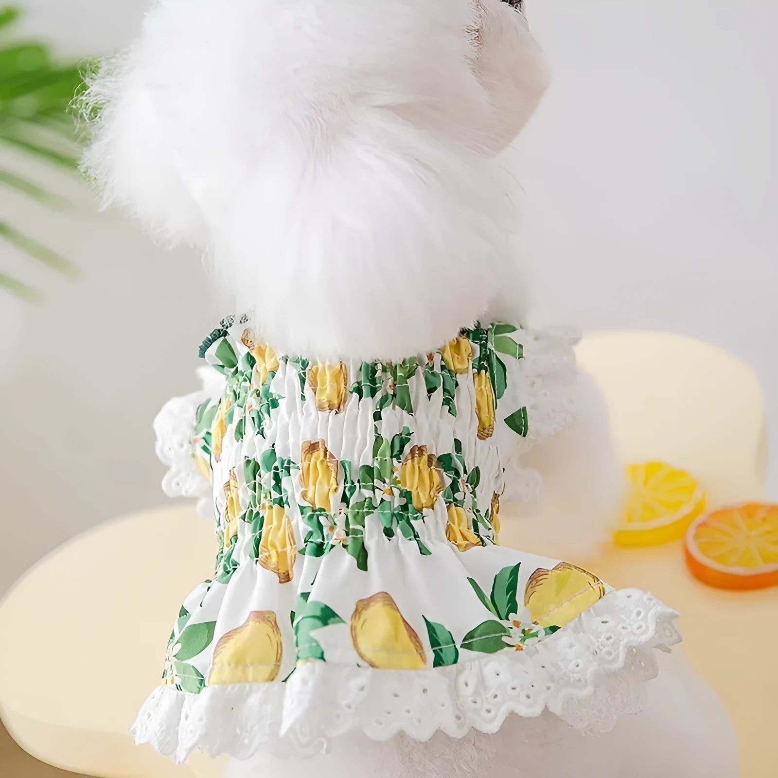 Rock yellow lemon princess style dog dress with thin breathable straps for small dogs