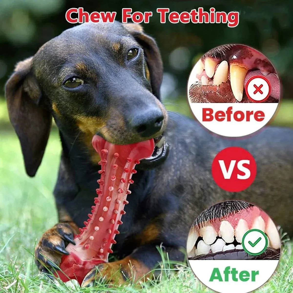Red natural rubber chew toy for dogs, showing textured surface and solid construction.