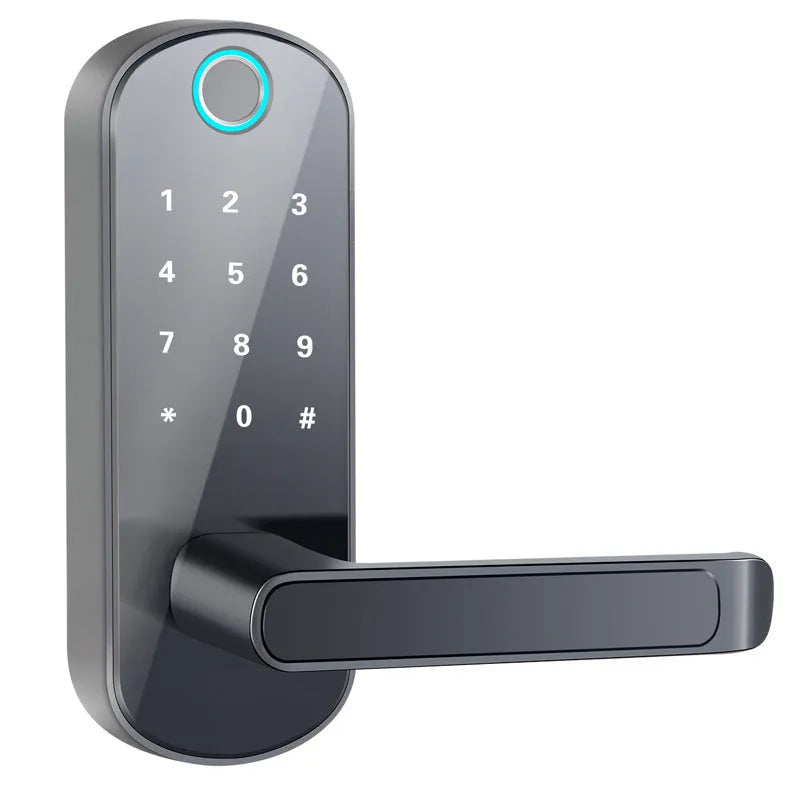 Smart Bluetooth fingerprint lock in black or silver for wooden and apartment doors.