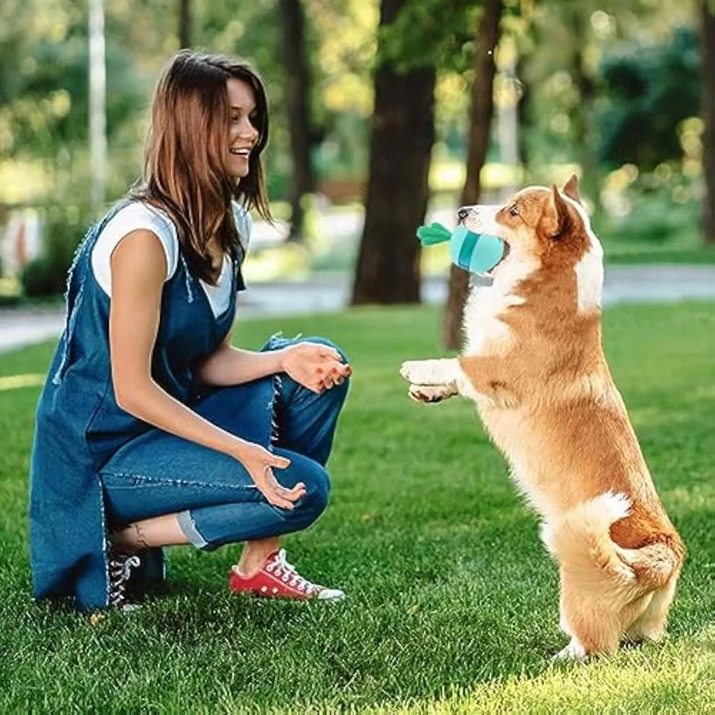 Blue durable rubber dog treat puzzle ball with dispensing holes for medium and large dogs