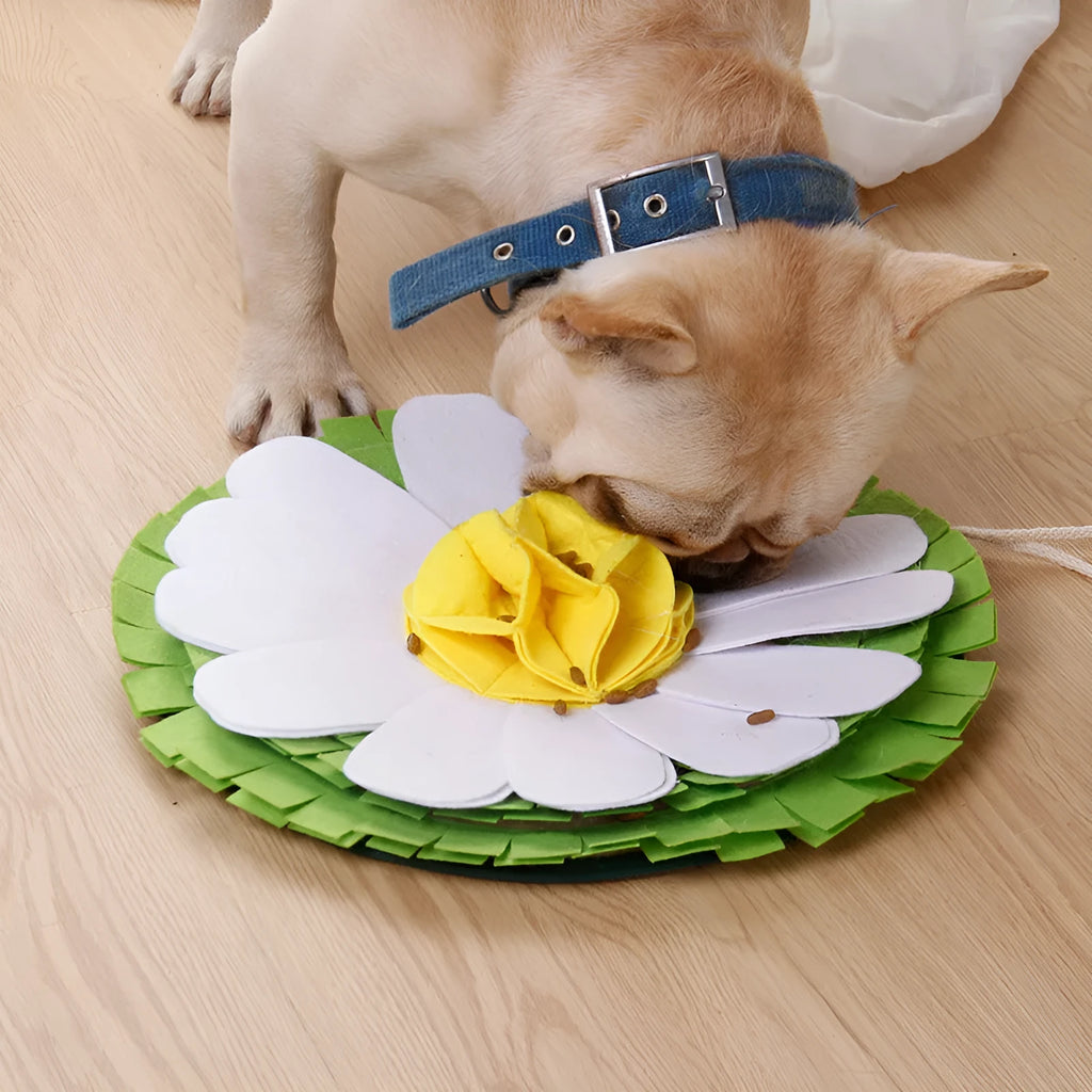 Plush dog sniffing pad toy in photo colour on a soft surface for bite play