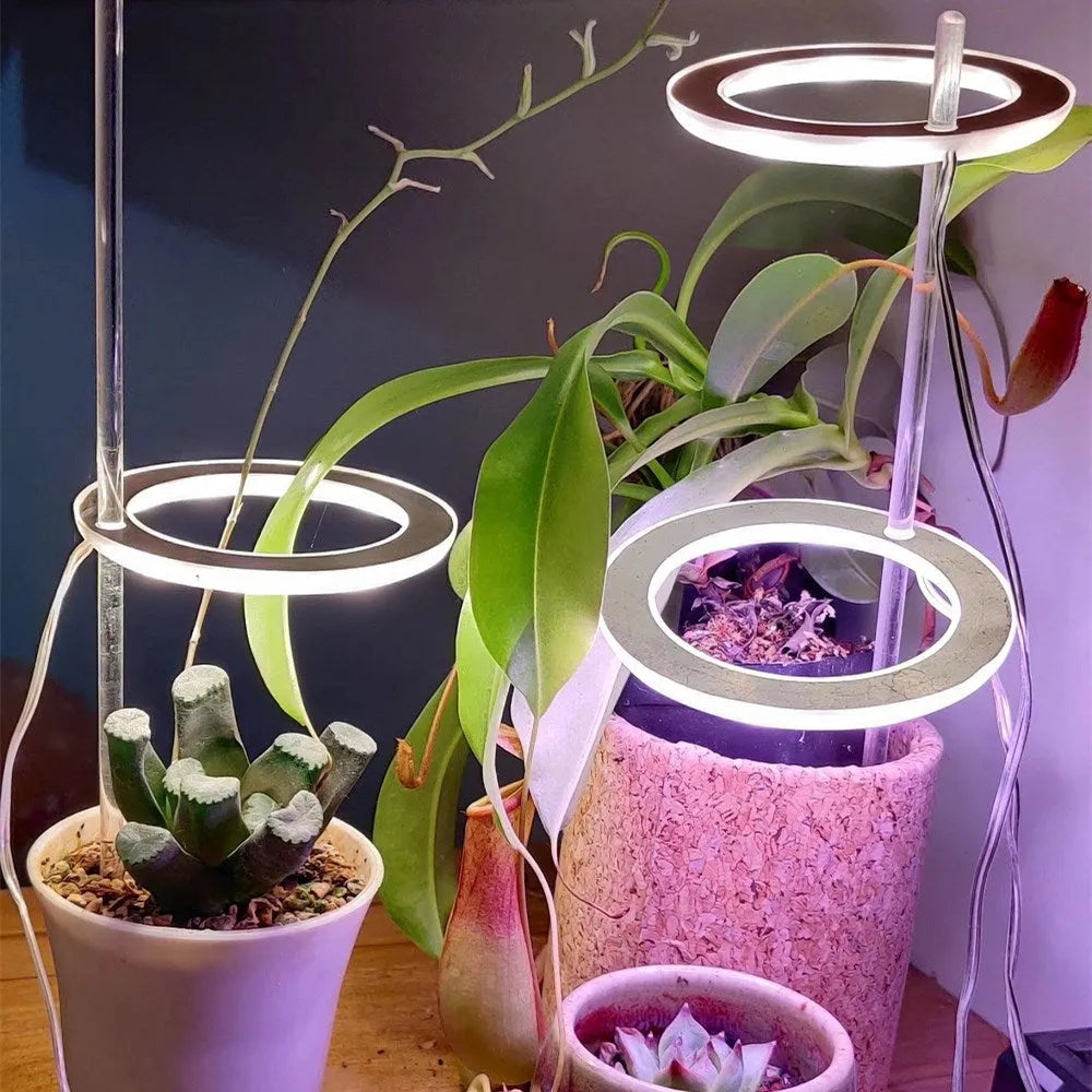 LED grow light angel ring design with USB cable for indoor plants
