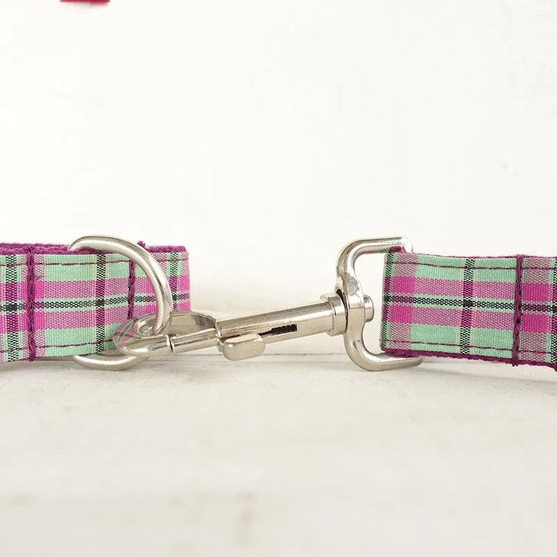 Mint green polyester dog collar and matching lead set on a white background.