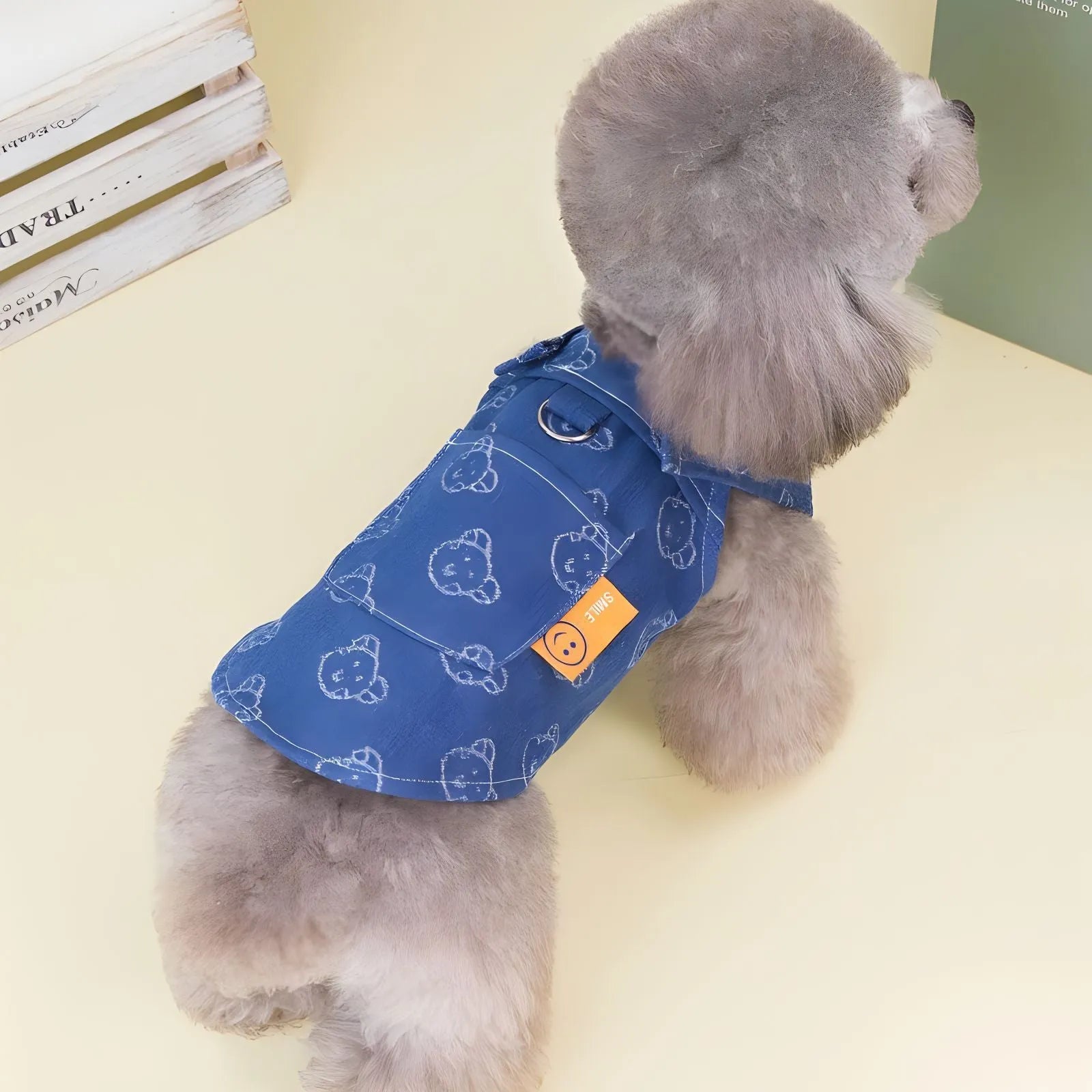 Teddy Bichon small dog wearing thin denim princess dress with bracket skirt style
