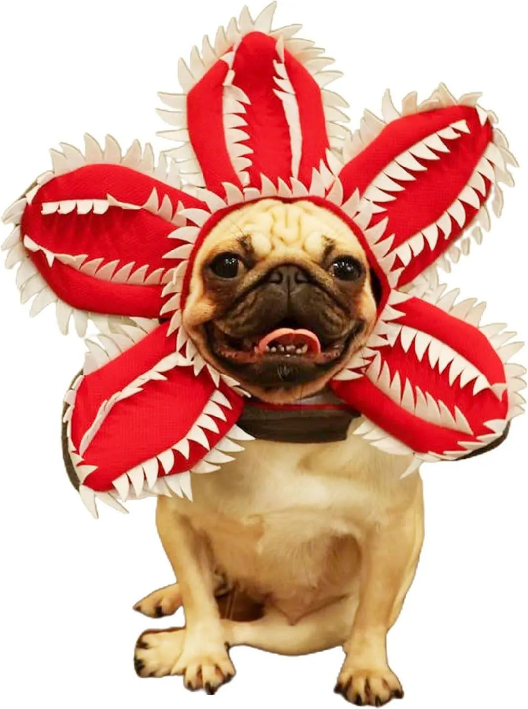 Halloween dog costume headband with chomper mouth, demon horns and alternative flower crown for medium-sized pets