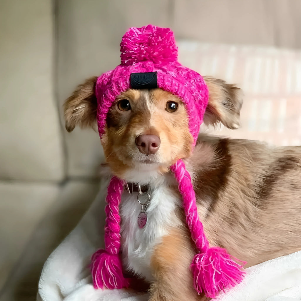 Grey acrylic knitted dog hat with fluffy ball on top, side view showing woven texture and slip-on design