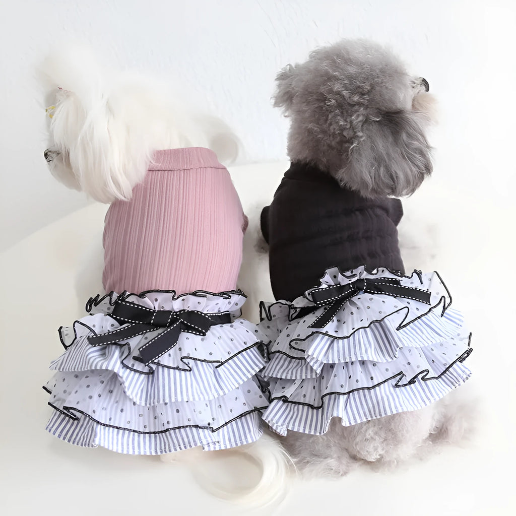 Polka dot lace princess dress for a small dog or cat in charcoal black colour.
