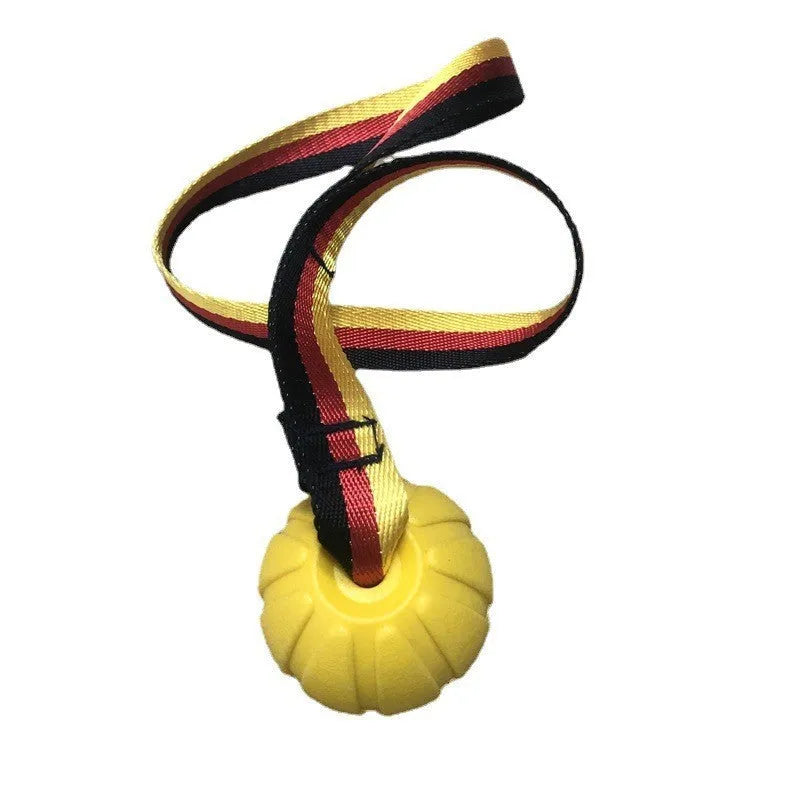 Yellow and camouflage coloured EVA floating dog training balls in different sizes on a blue background.
