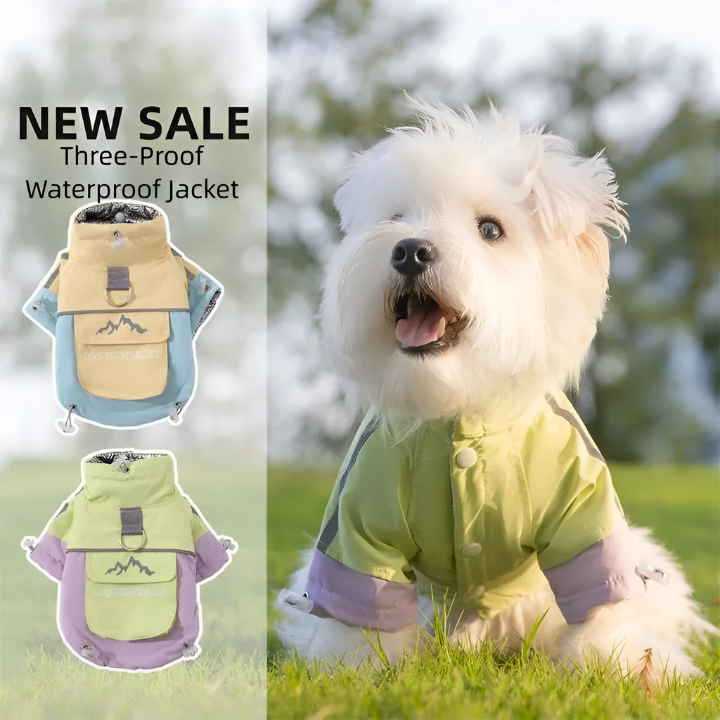 Xidao Di two-legged dog windbreaker coat in sunny yellow-blue colour on a small dog, with adjustable drawstring and D-ring.