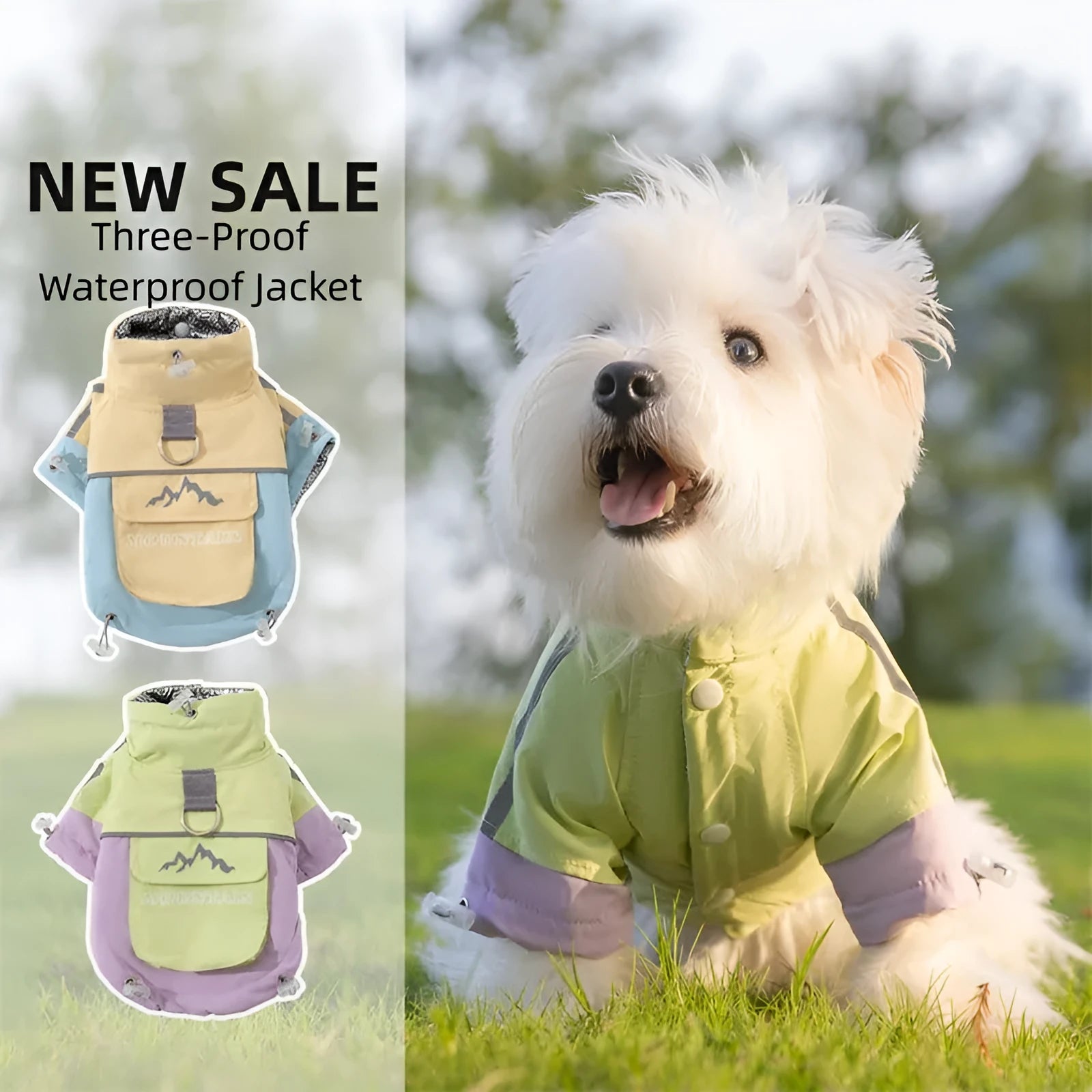 Xidao Di two-legged dog windbreaker coat in sunny yellow-blue colour on a small dog, with adjustable drawstring and D-ring.