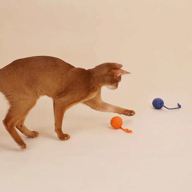 Four-piece cat toy set featuring a teaser stick and a catnip ball on a blue background