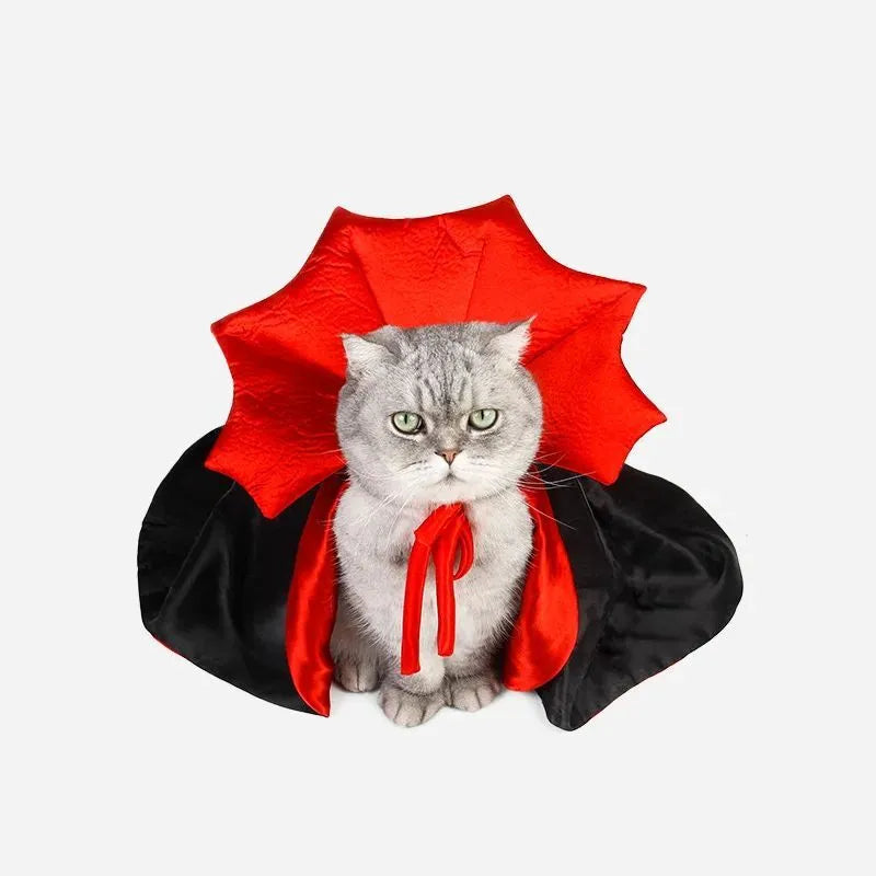 Black Halloween vampire cloak pet costume with bat-wing collar for small dog or cat
