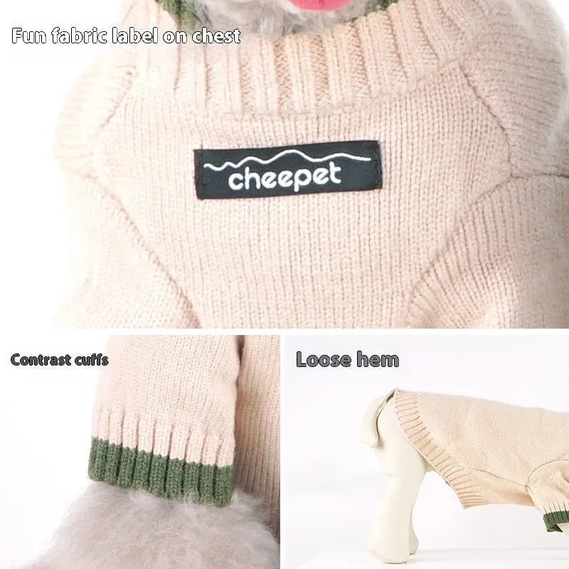 Dog wearing contrast colour two-leg wool sweater in British style