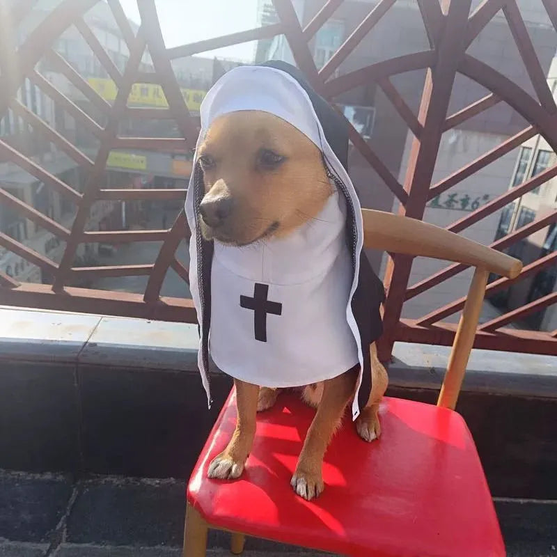 Black and white nun costume for small to medium dog on model