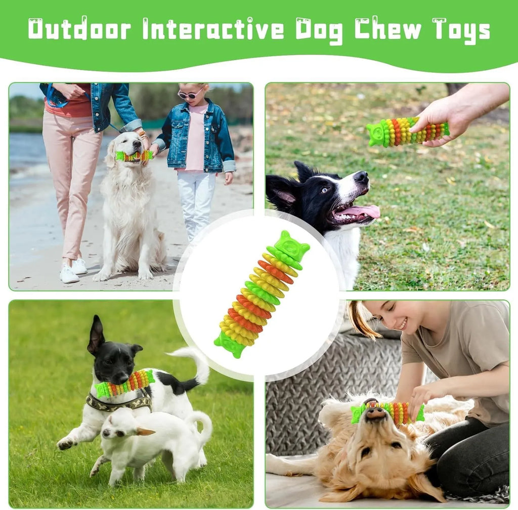 Blue green pink caterpillar-shaped natural rubber chew toy for dogs on a white background