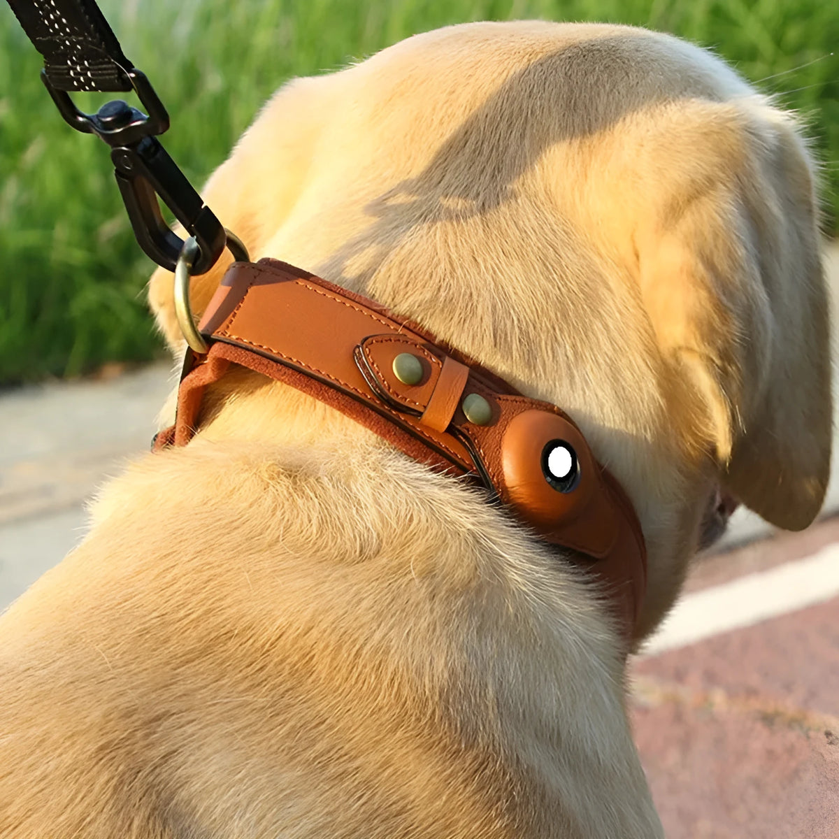Leather dog collar with location tracker holder in army green on a light background