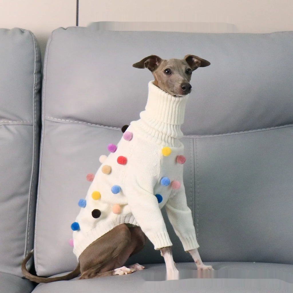 White pom pom Christmas sweater for Italian Greyhound or Whippet unisex acrylic pet clothing