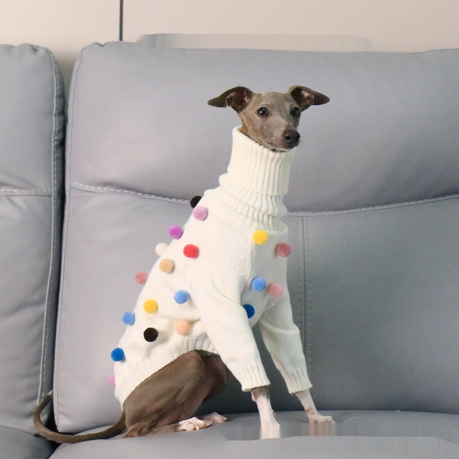 White pom pom Christmas sweater for Italian Greyhound or Whippet unisex acrylic pet clothing