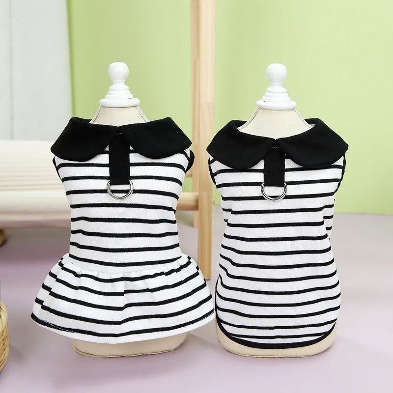 Pet wearing striped cotton T-shirt and skirt summer clothing set