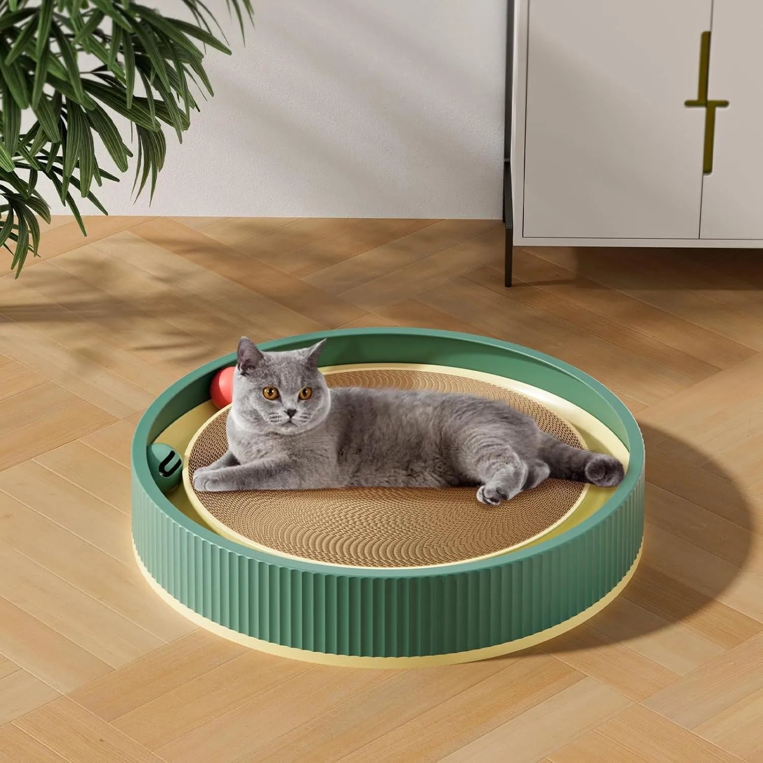 Green and white large round cat scratching board with integrated moving ball toys and a spring plush ball.