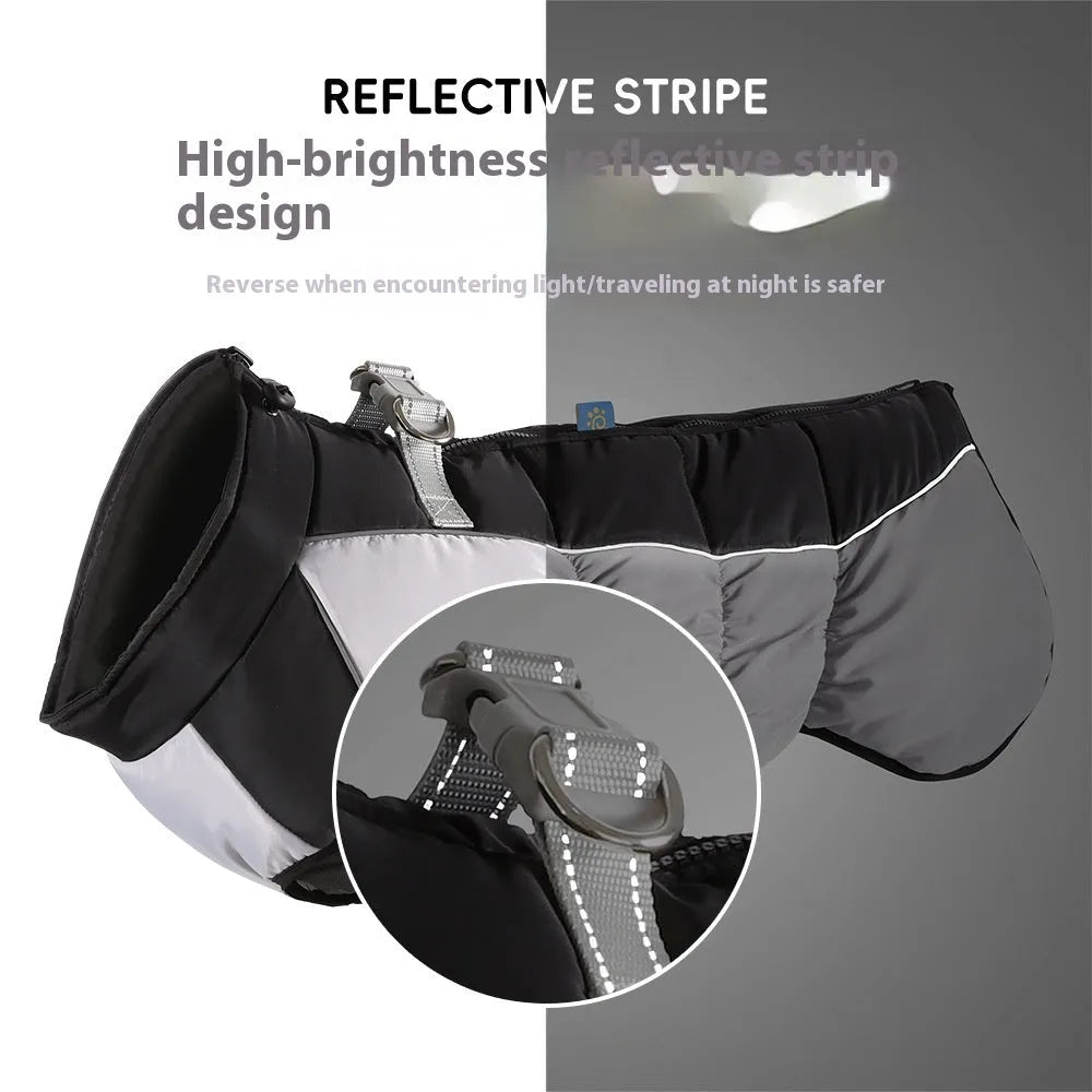 Big dog wearing reflective waterproof winter coat in polar fleece