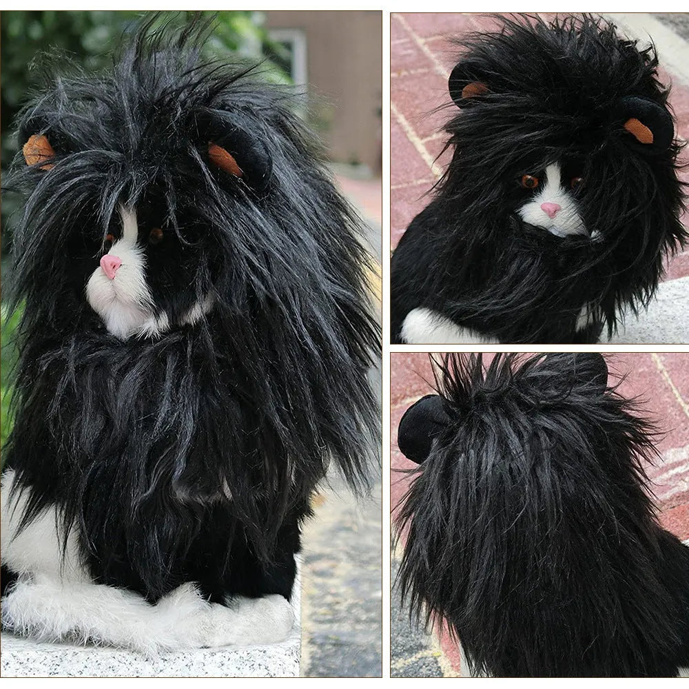 Black lion headgear costume hat on cat with elastic band fitting